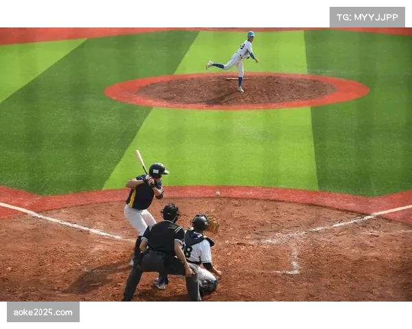 美国业余垒球协会报告显示,2025年成年女性慢投垒球参与人数同比增长12%